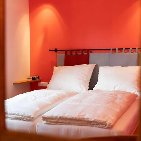 Alpinikum Apart Otel *